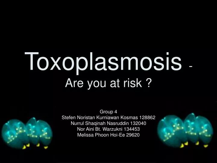 toxoplasmosis are you at risk