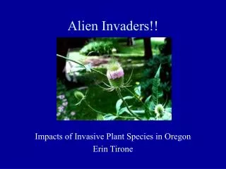Alien Invaders!!