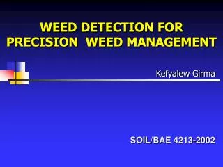 WEED DETECTION FOR PRECISION WEED MANAGEMENT