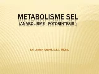 METABOLISME SEL (ANABOLISME - FOTOSINTESIS )
