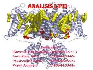 analisis lipid