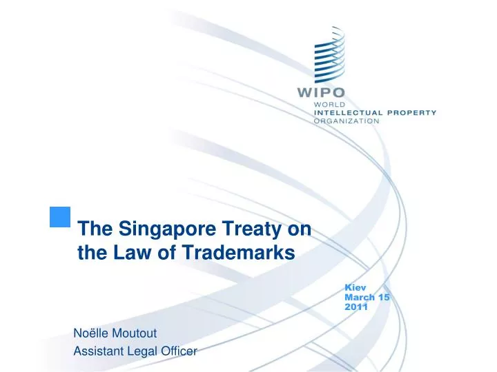 the singapore treaty on the law of trademarks