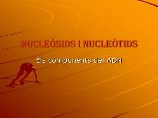 nucle sids i nucle tids