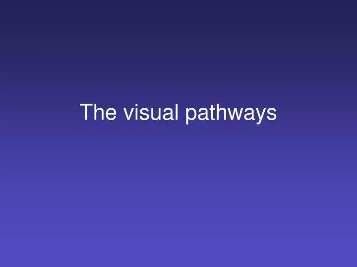 the visual pathways