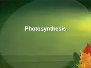 Photosynthesis