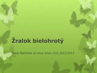 ralok bielohrot