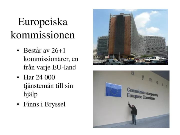 europeiska kommissionen