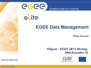 EGEE Data Management Peter Kunszt