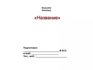 e xecutive s ummary
