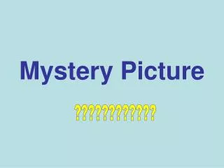 Mystery Picture