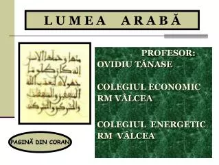 l u m e a a r a b