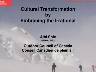 Cultural Transformation by Embracing the Irrational