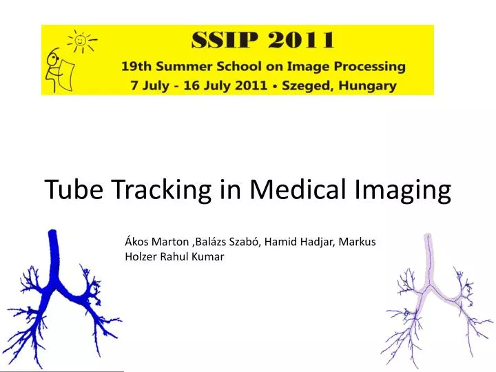 tube tracking in medical imaging