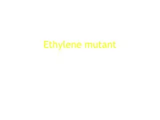 ethylene mutant