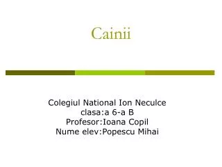 cainii
