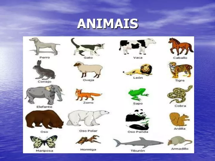 animais