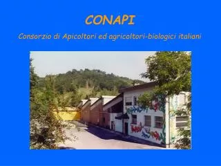 CONAPI Consorzio di Apicoltori ed agricoltori-biologici italiani