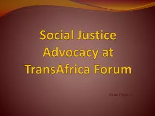 Social Justice Advocacy at TransAfrica Forum