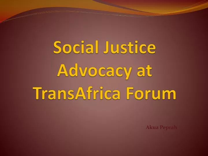 social justice advocacy at transafrica forum