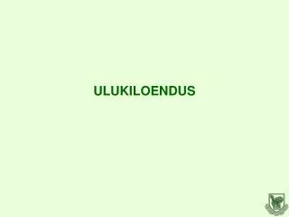 ulukiloendus