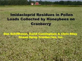 Imidacloprid Residues in Pollen Loads Collected by Honeybees on Cranberr y