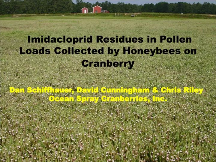 imidacloprid residues in pollen loads collected by honeybees on cranberr y