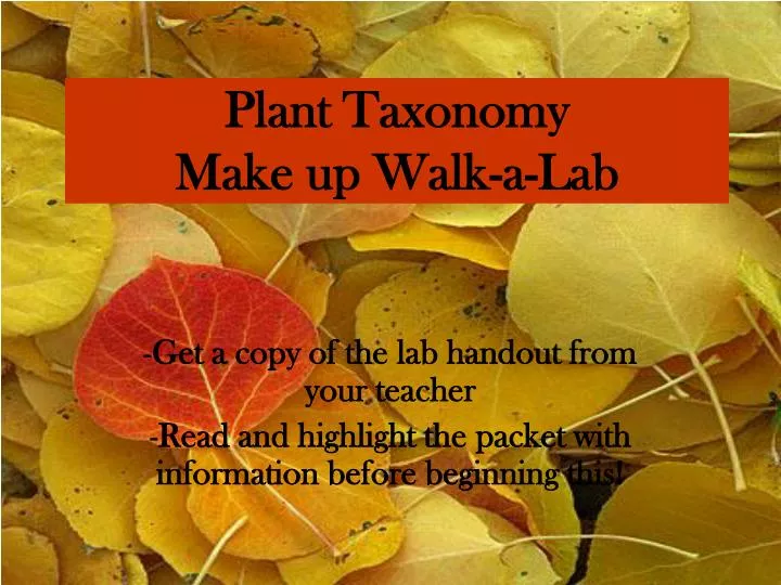 plant taxonomy make up walk a lab