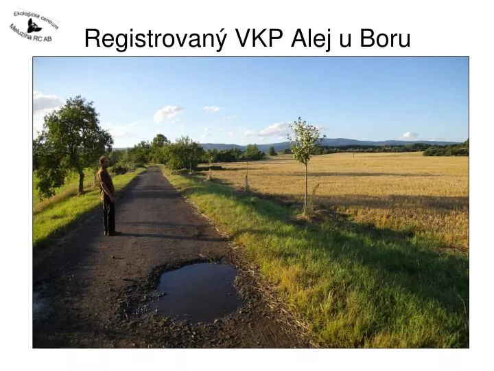 registrovan vkp alej u boru