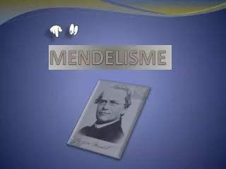 mend e lisme