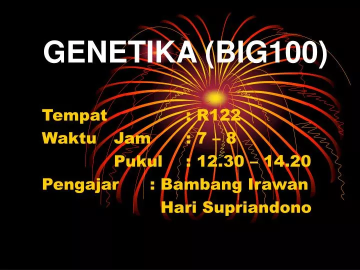 genetika big100