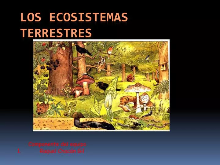 los ecosistemas terrestres