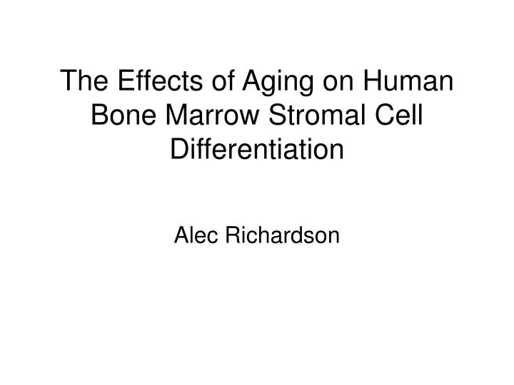 the effects of aging on human bone marrow stromal cell differentiation