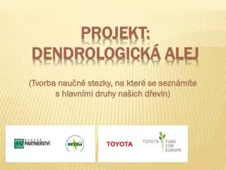 tvorba nau n stezky na kter se sezn m te s hlavn mi druhy na ich d evin