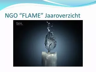 ngo flame jaaroverzicht