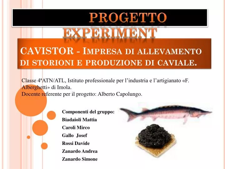 cavistor impresa di allevamento di storioni e produzione di caviale