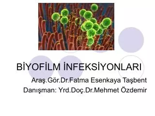 b yof lm nfeks yonlari