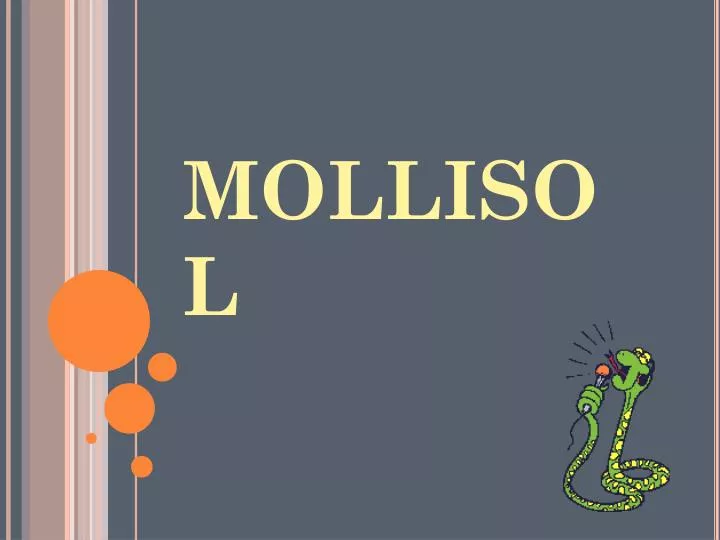 mollisol