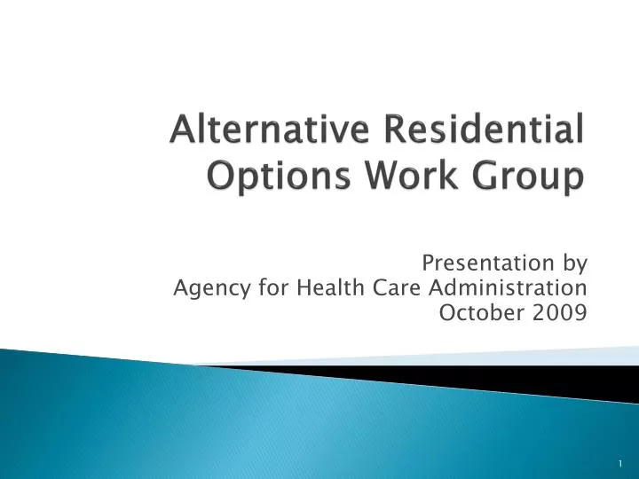 alternative residential options work group