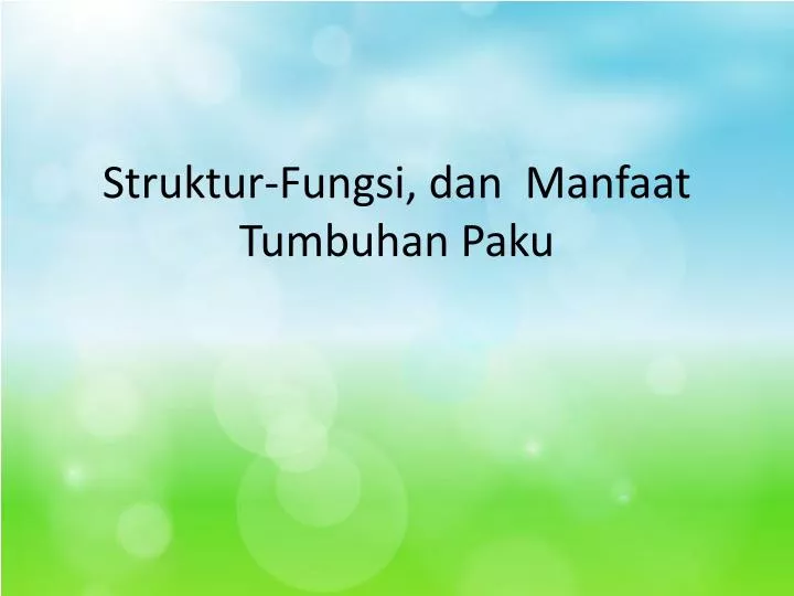 struktur fungsi dan manfaat tumbuhan paku