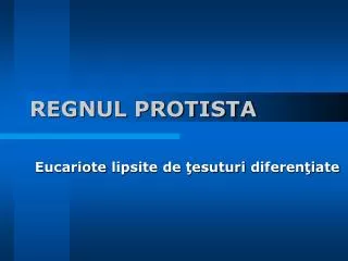 regnul protista