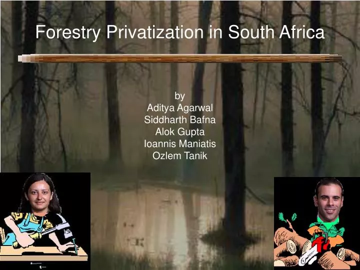 forestry privatization in south africa
