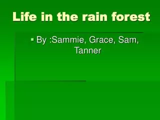 Life in the rain forest
