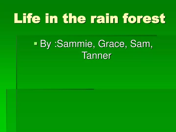 life in the rain forest