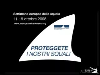 Squali: