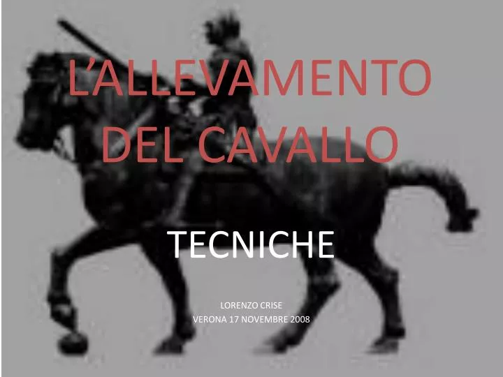 l allevamento del cavallo