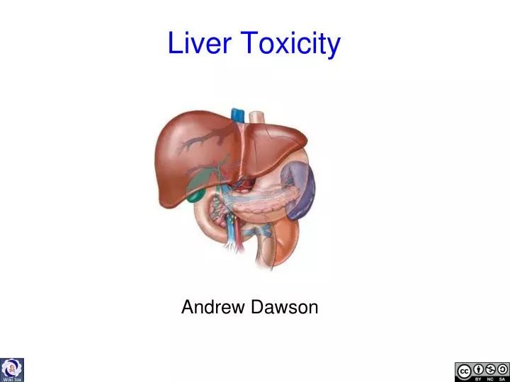 liver toxicity