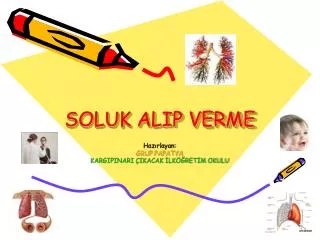 soluk alip verme