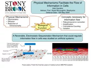 Physical Mechanisms Electrostatics Diffusion Reduction of Dimensionality