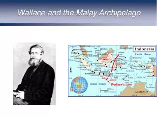 Wallace and the Malay Archipelago