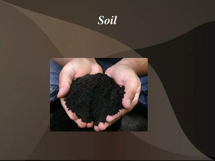 PPT - Soil PowerPoint Presentation, Free Download - ID:3938803